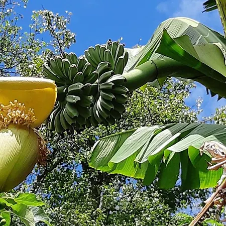 Elegant Near With Private Pool Caminha