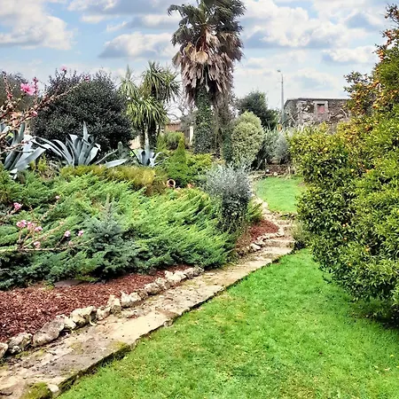 Elegant Near With Private Pool Villa