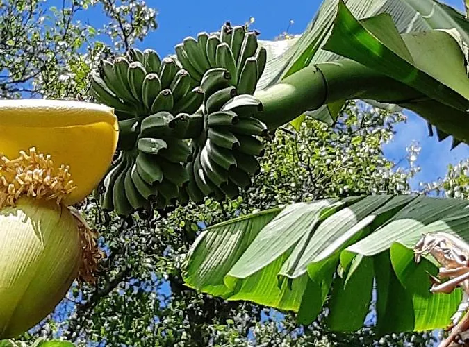 Elegant Near With Private Pool Caminha